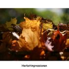 Herbstimpressionen