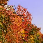 Herbstimpressionen