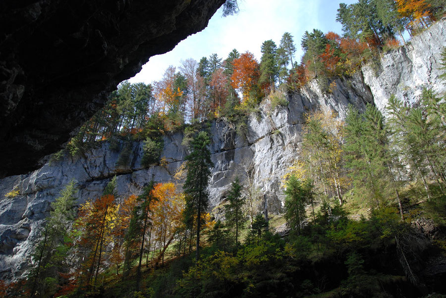 Herbstimpressionen Allgäu I