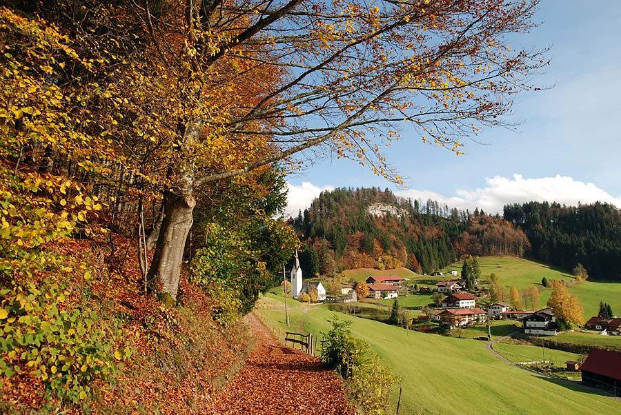 Herbstimpressionen Allgäu III