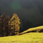 Herbstimpressionen Allgäu IV