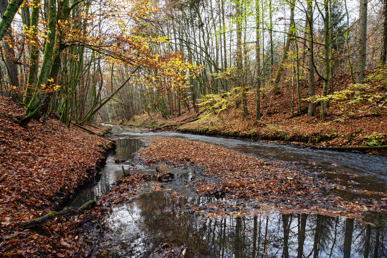 Herbstimpressionen am Fischbach