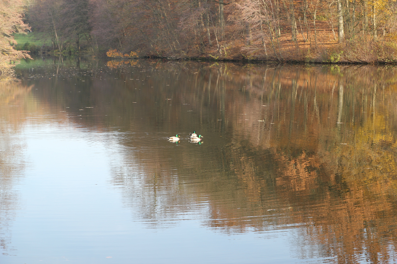 Herbstimpressionen am Kreuzbergsee.