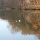 Herbstimpressionen am Kreuzbergsee.