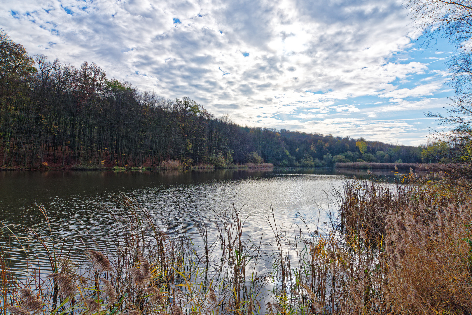 Herbstimpressionen am namenlosen Teich