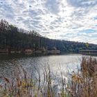 Herbstimpressionen am namenlosen Teich