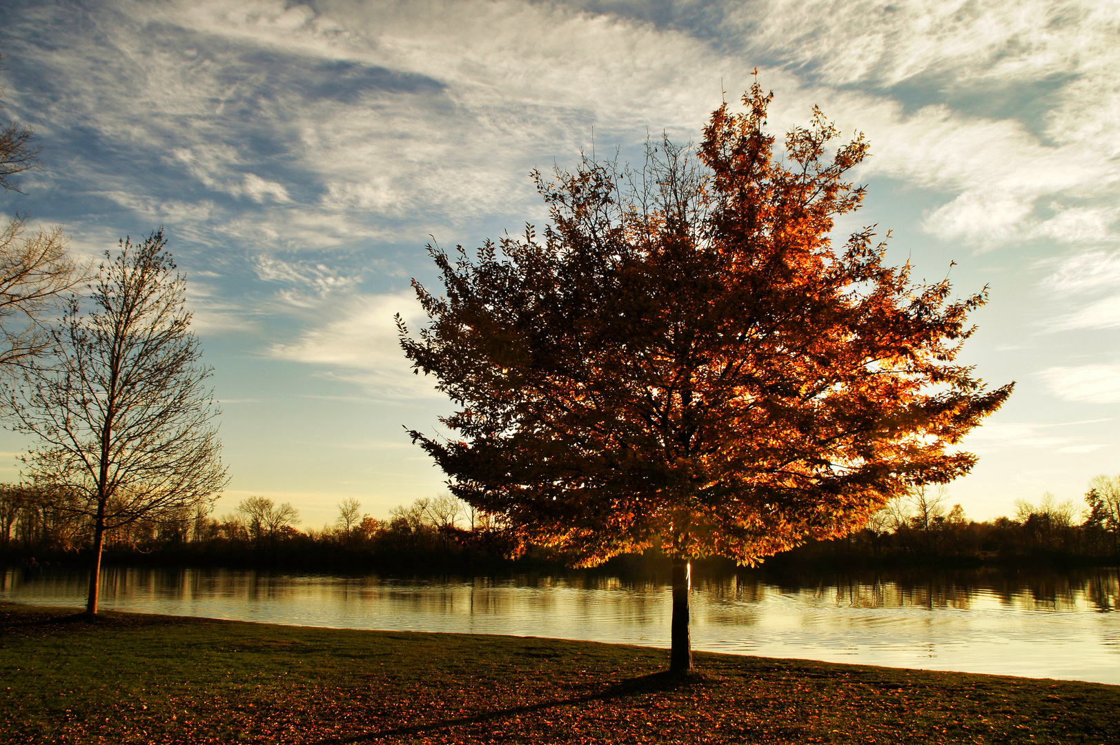 Herbstimpressionen am See