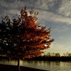 Herbstimpressionen am See