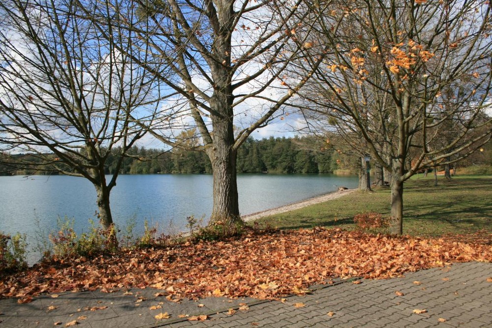 Herbstimpressionen am See