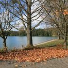 Herbstimpressionen am See