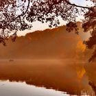 Herbstimpressionen am See