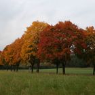 Herbstimpressionen an der Landstrasse