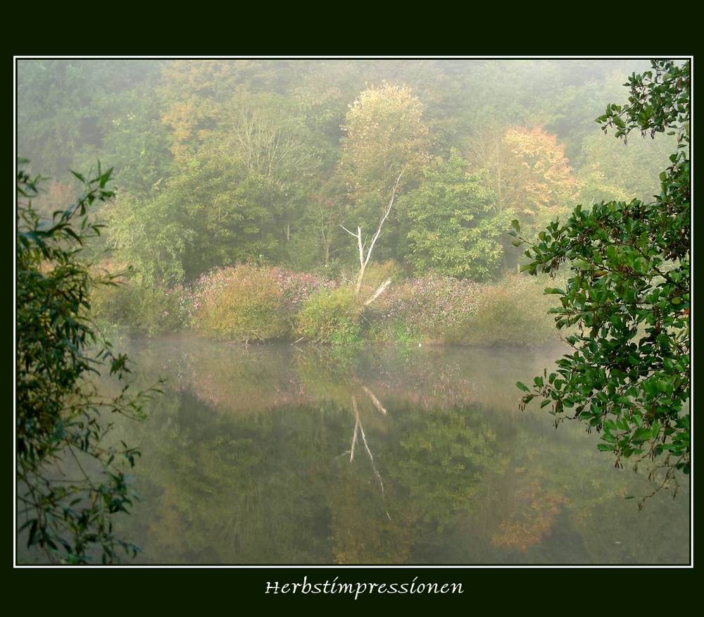 Herbstimpressionen an der Naab