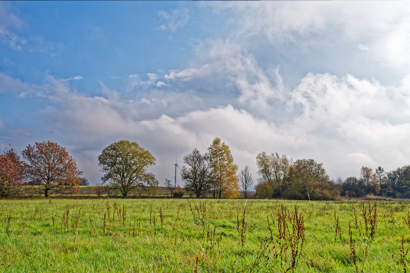 Herbstimpressionen auf dem Stennweiler Flur