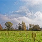 Herbstimpressionen auf dem Stennweiler Flur