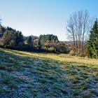 Herbstimpressionen auf dem Wiesenpfad