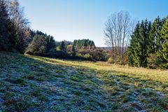 Herbstimpressionen auf dem Wiesenpfad