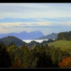 Herbstimpressionen aus den Allgäu