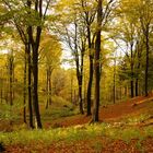 Herbstimpressionen aus Hamburg