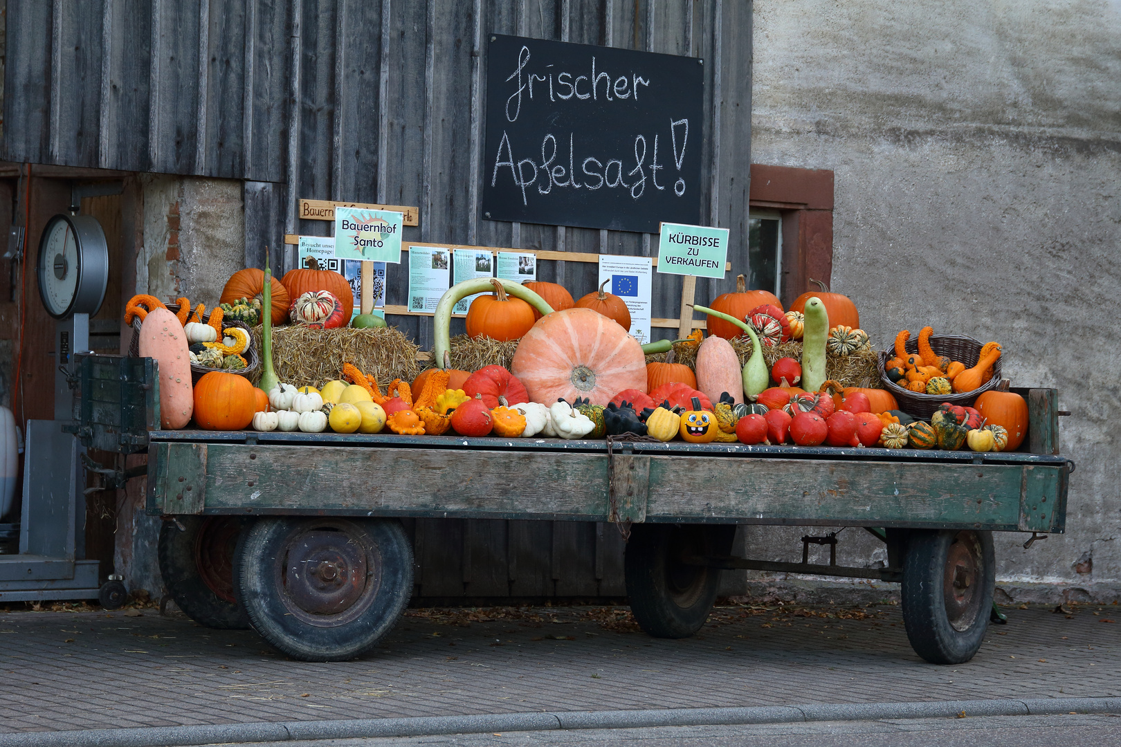 Herbstimpressionen