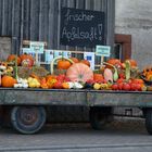 Herbstimpressionen