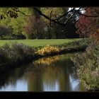 herbstimpressionen