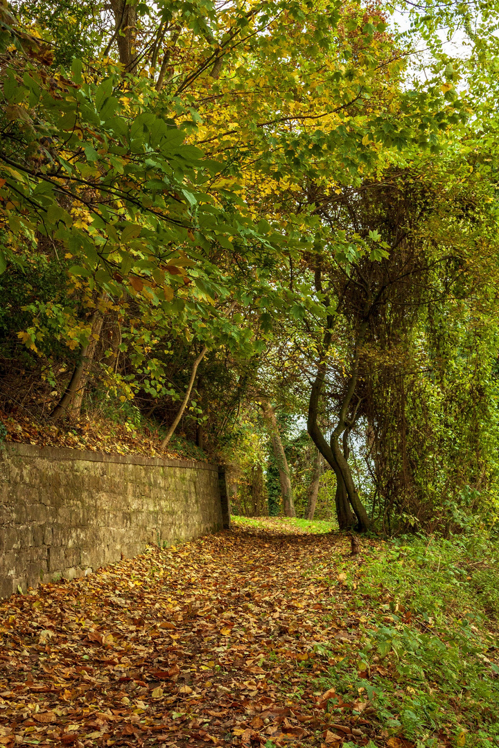 Herbstimpressionen