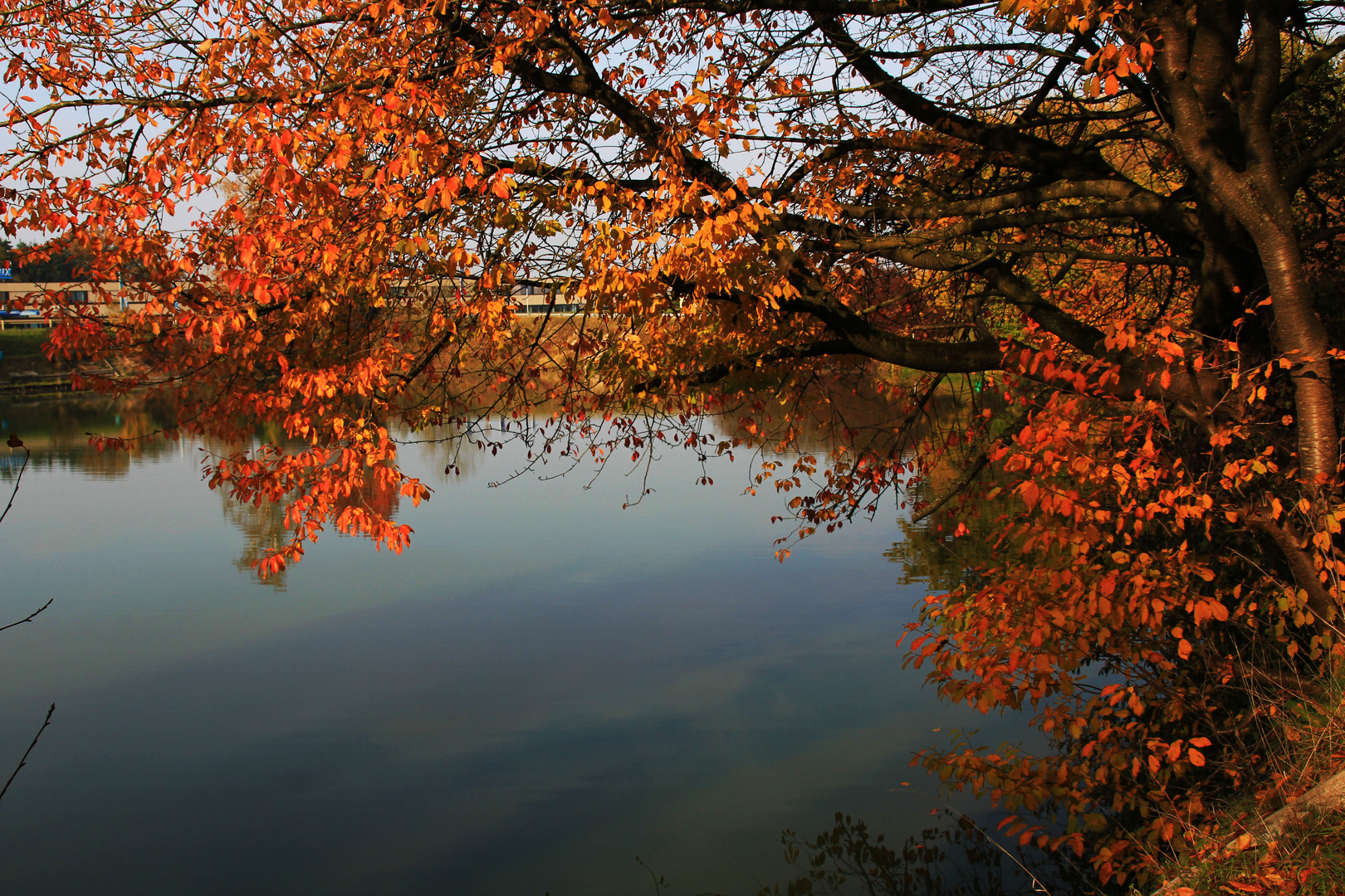 Herbstimpressionen