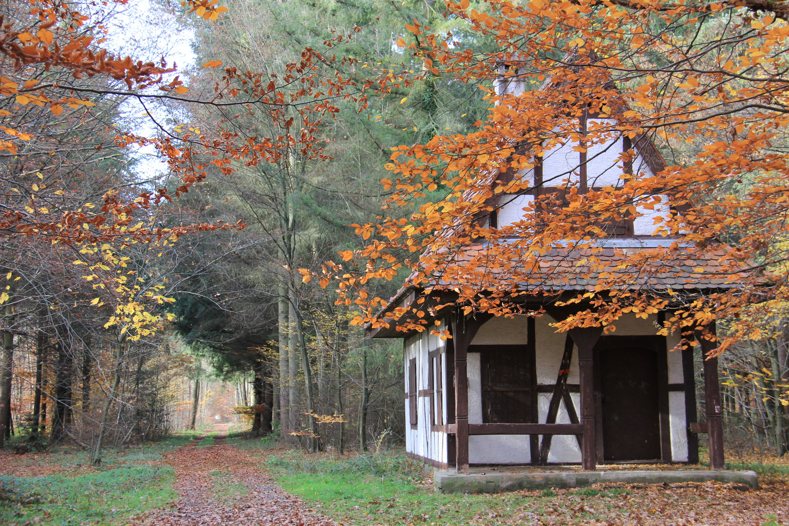 Herbstimpressionen