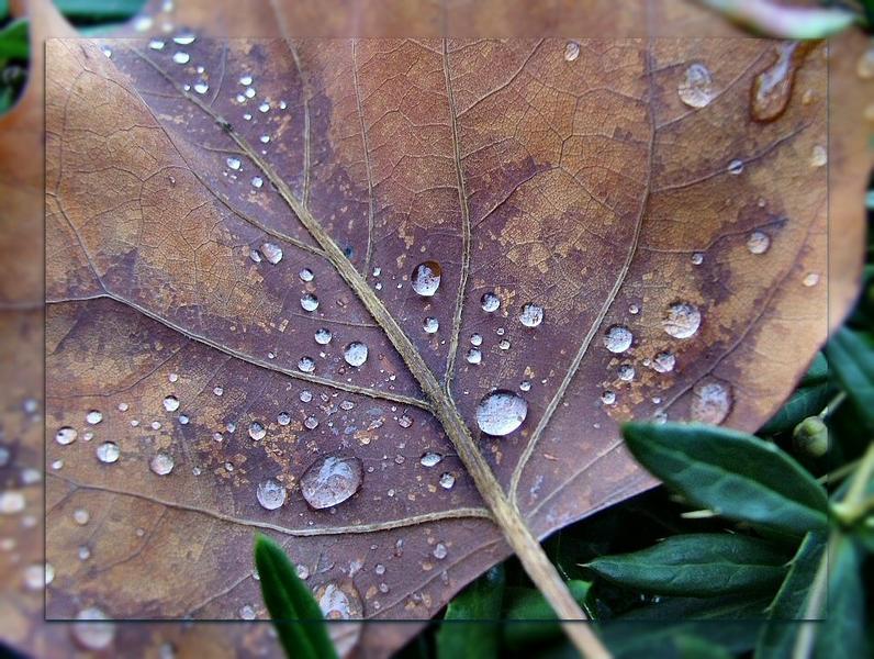 " Herbstimpressionen "