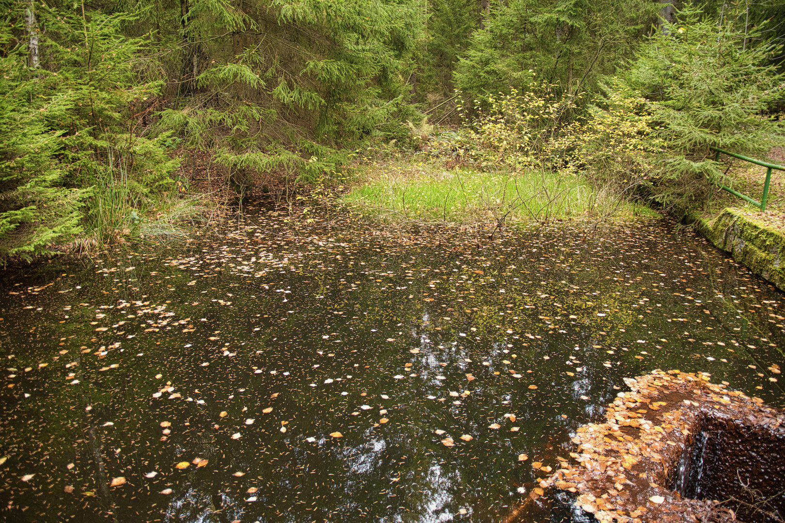 Herbstimpressionen