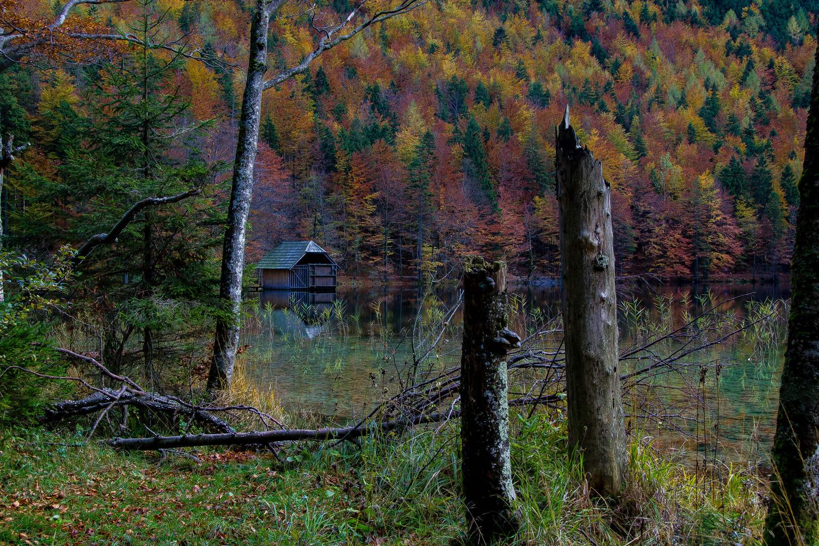 Herbstimpressionen