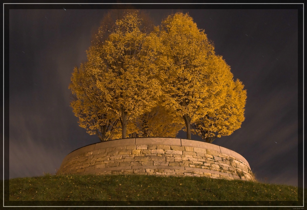 Herbstimpressionen bei Nacht