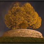 Herbstimpressionen bei Nacht