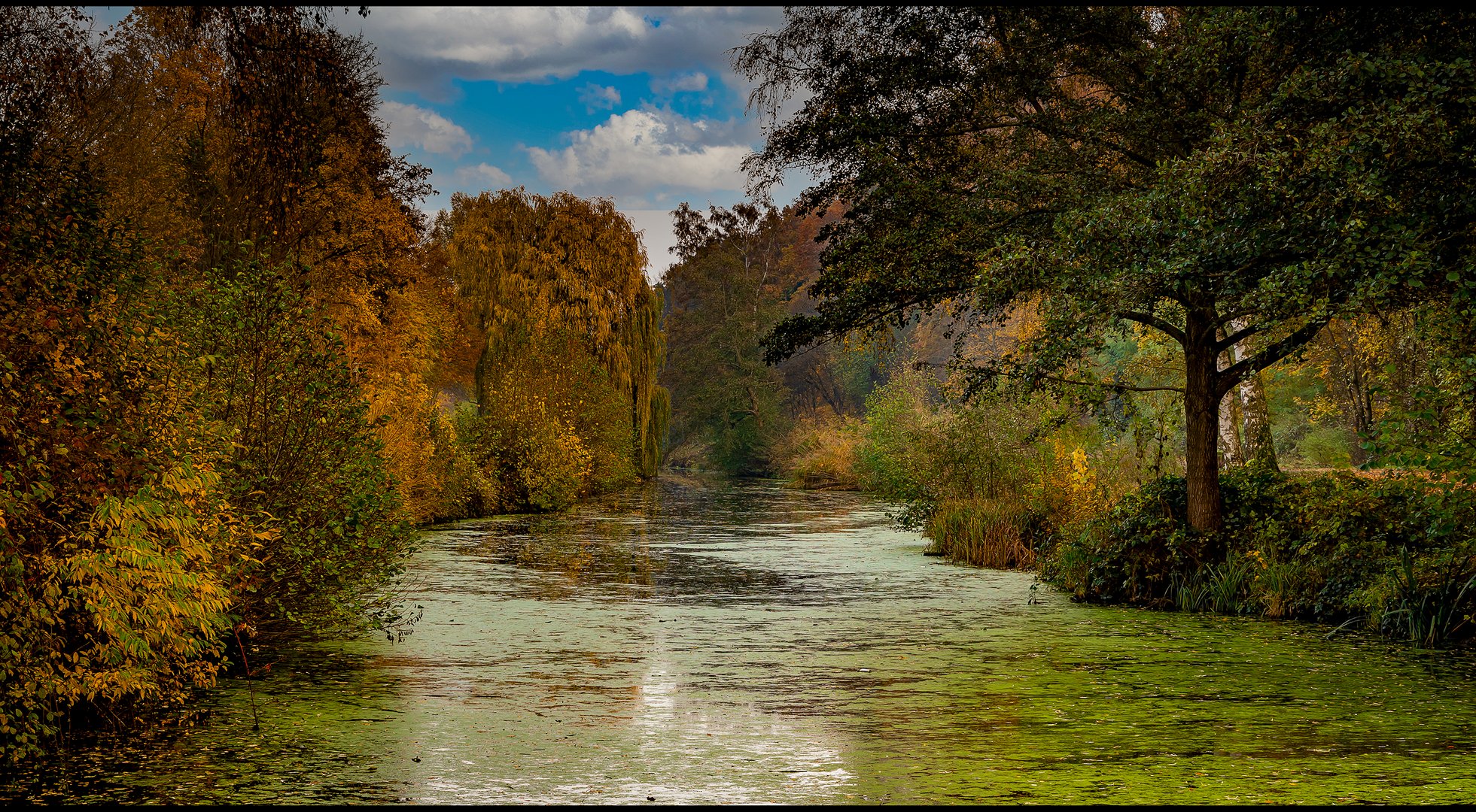 "Herbstimpressionen"