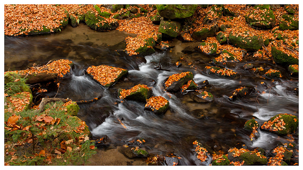 Herbstimpressionen