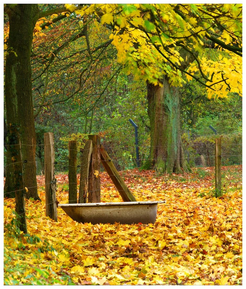 Herbstimpressionen