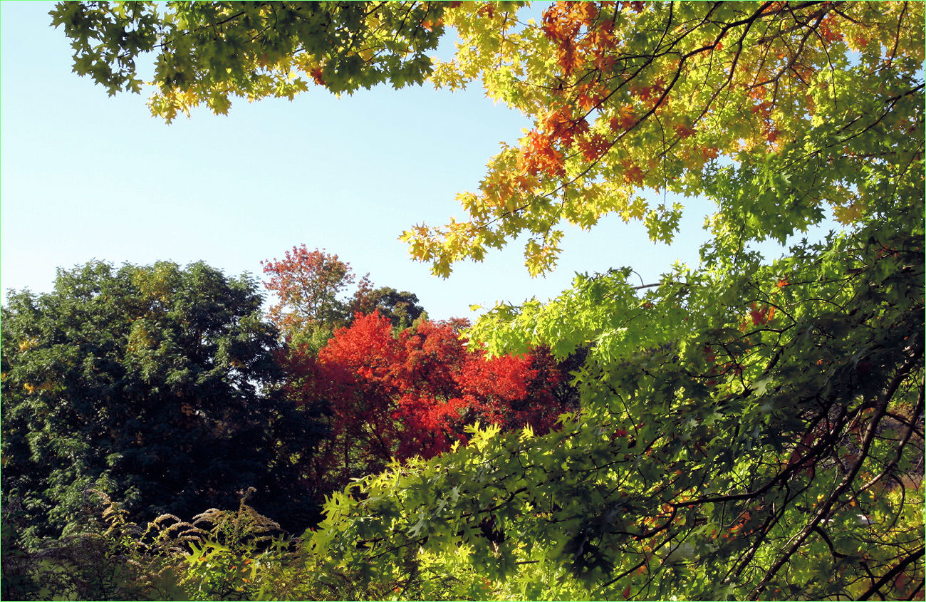 Herbstimpressionen