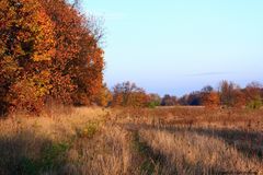 Herbstimpressionen