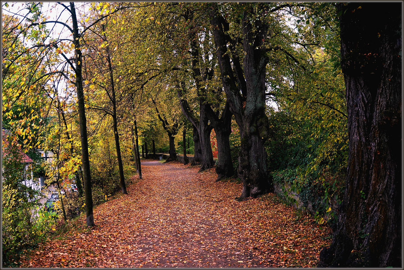 Herbstimpressionen ...