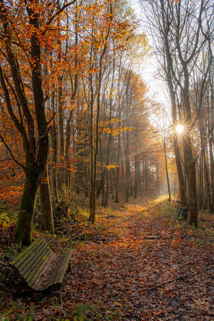 Herbstimpressionen