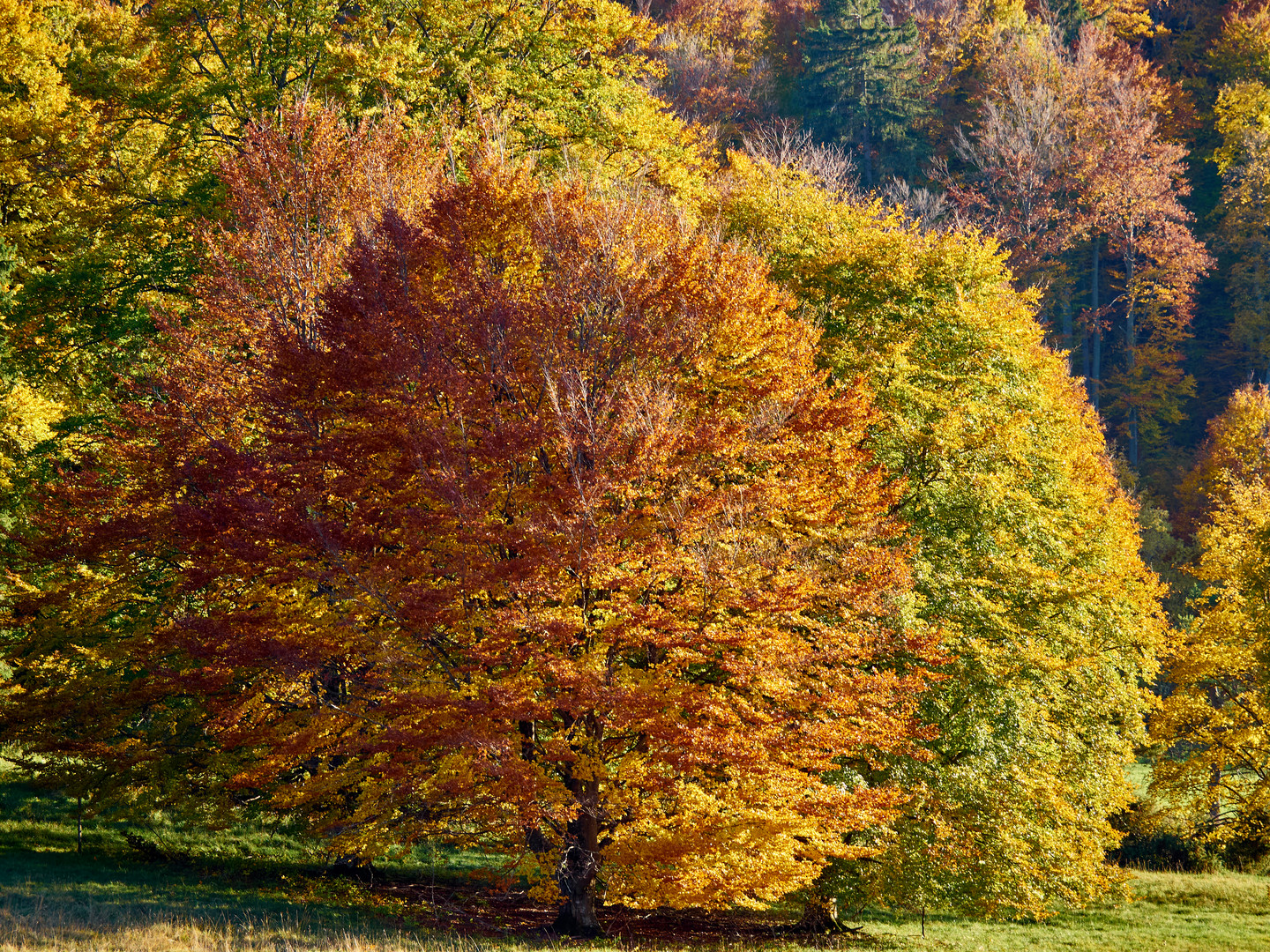 Herbstimpressionen