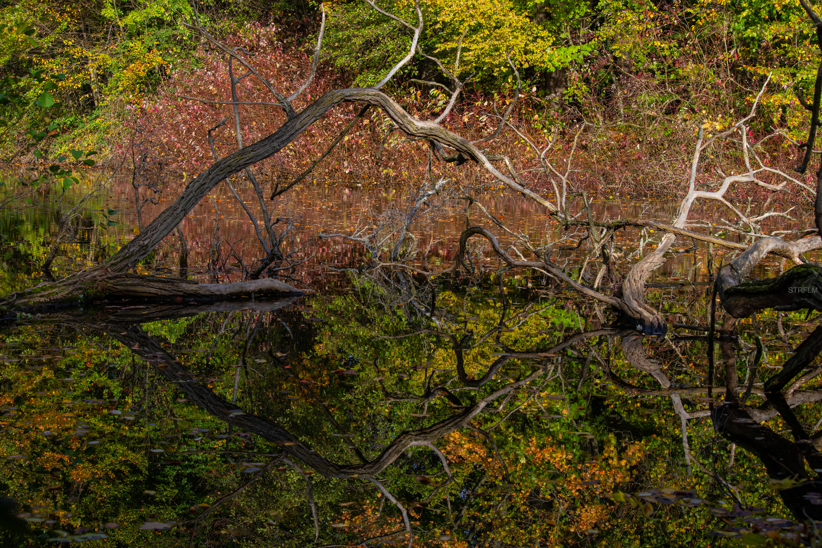 Herbstimpressionen