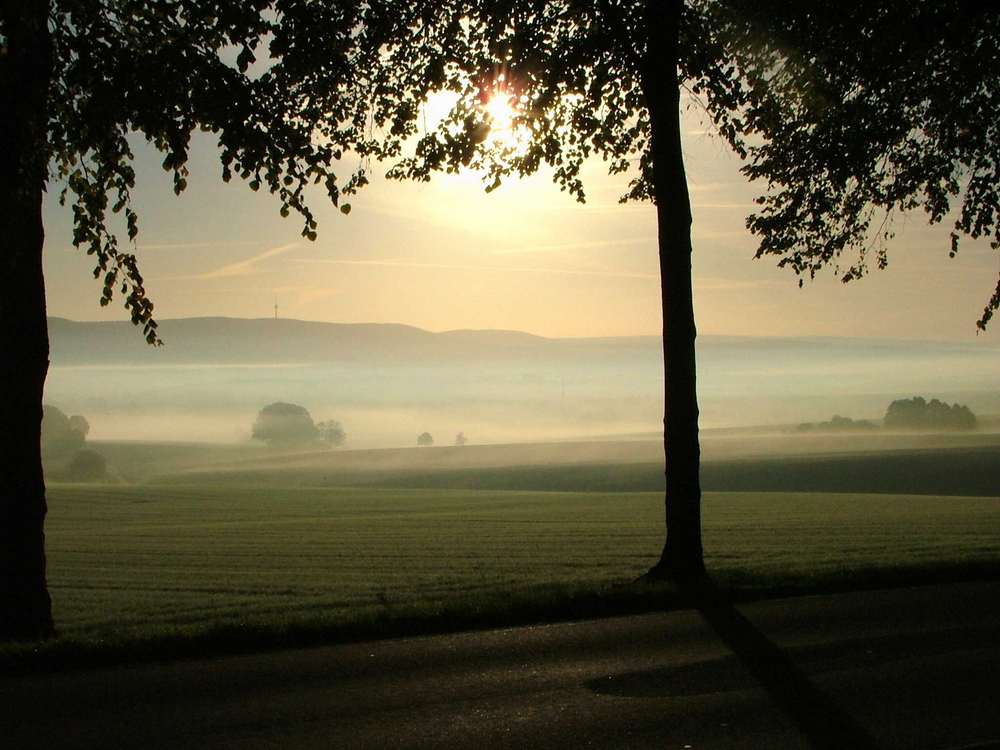 Herbstimpressionen