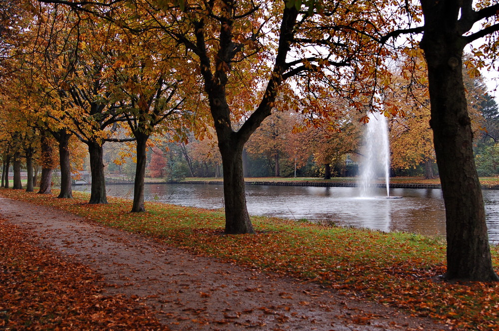 Herbstimpressionen