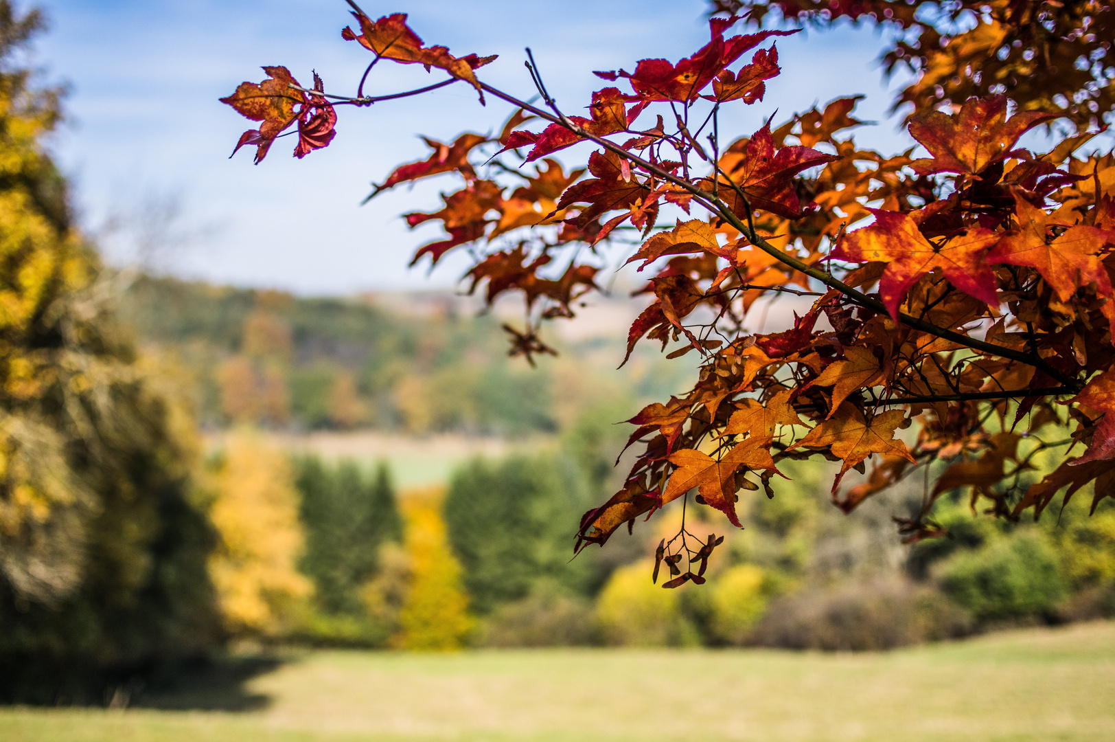 Herbstimpressionen