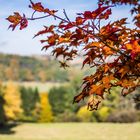 Herbstimpressionen