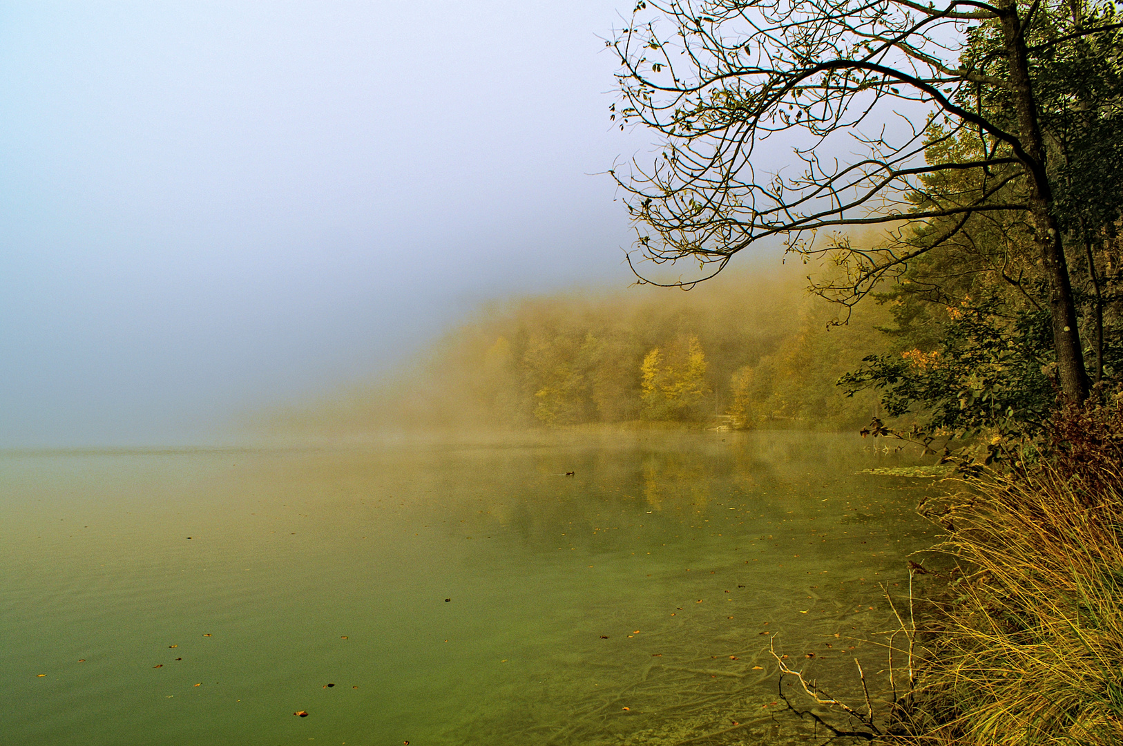 Herbstimpressionen