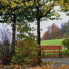 Herbstimpressionen