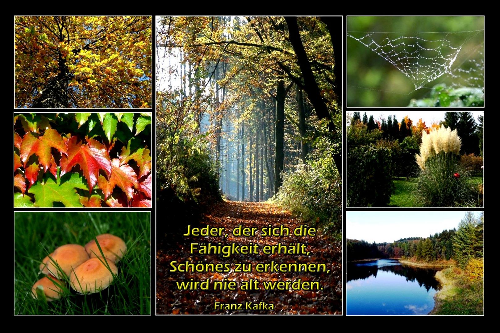 Herbstimpressionen